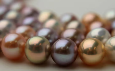 How to enrich necare thickness in fresh water pearls