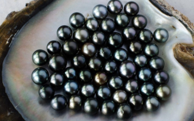 How to we identify Tahitian pearls are real